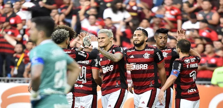 Pedro comemora o gol do Flamengo contra o Goiás (Foto: André Durão)