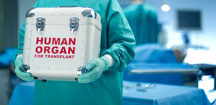 Máquina permite que fígado seja transplantado depois de três dias fora do corpo