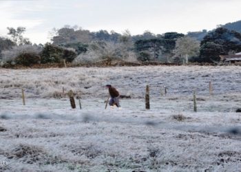 Onda de frio: RS tem sensação de -20ºC e SP tem a madrugada mais fria do ano