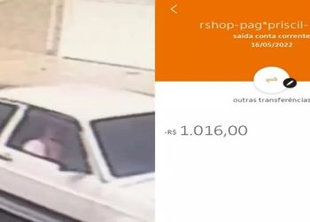 Golpe da maquininha, golpistas, estelionatários