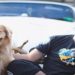 Influenciador Jesse Koz e cão Shurastey ganham documentario
