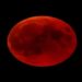 Melhor horário para ver lua de sangue, eclipse da lua