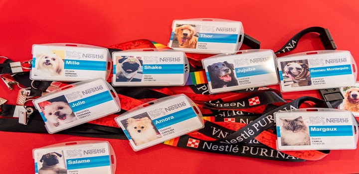 Funcionários da Nestlé levam pets ao trabalho