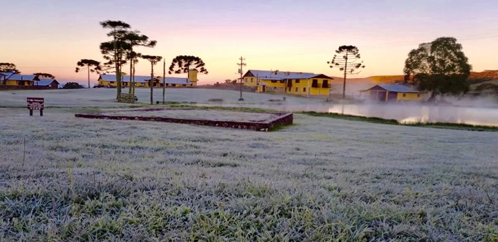 Geada no RS (Foto