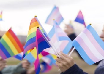 sAIBA SOBRE OUTROS TIPOS DE BANDEIRAS LGBT