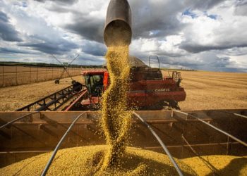 O lado obscuro da aliança entre o agronegócio e o sertanejo universitário
