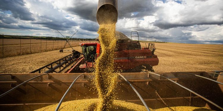 O lado obscuro da aliança entre o agronegócio e o sertanejo universitário