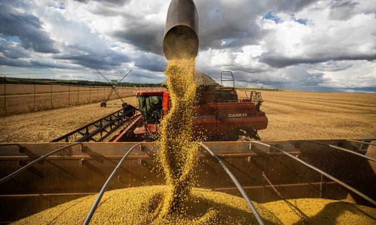 O lado obscuro da aliança entre o agronegócio e o sertanejo universitário