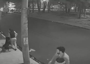 Veja vídeo que mostra ataque de rotweiller que pulou de carro a mulher