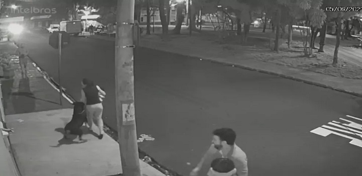 Veja vídeo que mostra ataque de rotweiller que pulou de carro a mulher