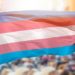 Coalizão de 16 estados norte-americanos processa Trump por ordem que restringe cuidados de afirmação de gênero a jovens trans. Ação alega abuso de poder e ilegalidade da medida presidencial.