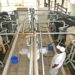 A expectativa do grupo é que a planta industrial seja inaugurada no último trimestre deste ano