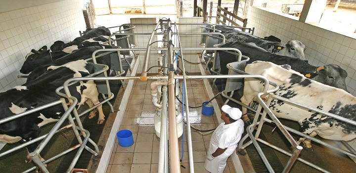 A expectativa do grupo é que a planta industrial seja inaugurada no último trimestre deste ano