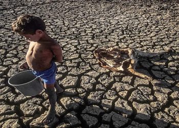 Saiba sobre a fome no Brasil