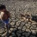 Saiba sobre a fome no Brasil
