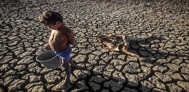 Saiba sobre a fome no Brasil