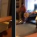 VEJA VÍDEO DE HOMEM AGREDINDO LÉSBICAS EM BAR