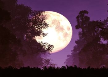 Saiba sobre a superlua que ocorre no Brasil
