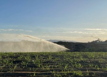 irrigação, produtores rurais. norte fluminense