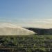 irrigação, produtores rurais. norte fluminense