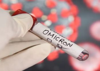 Variante omicron, nova cepa