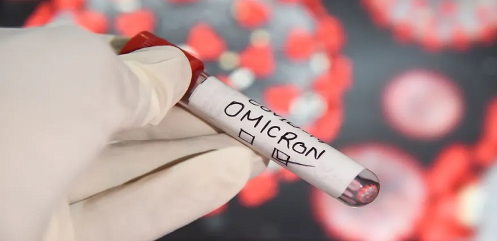 Variante omicron, nova cepa