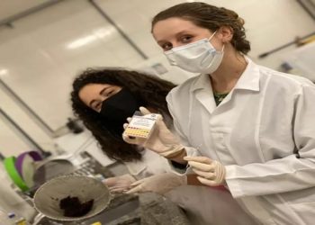 Brasileiras criam absorvente biodegradável de R$0,02