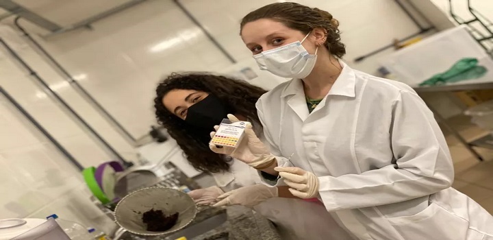 Brasileiras criam absorvente biodegradável de R$0,02