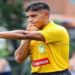 Arbitro compartilha fotos íntimas de jogadoras de rubgy