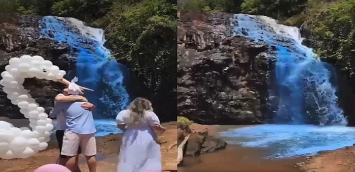 Casal chá revelação joga corante em cachoeira