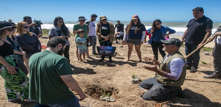 O mutirão de plantio de mudas aconteceu na manhã desta segunda-feira (19), próximo ao posto 2, na Praia dos Cavaleiros