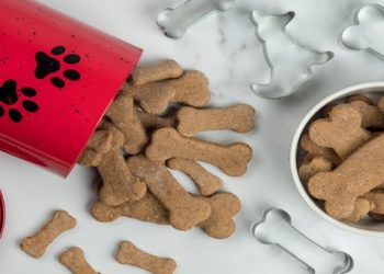 Ministério da Agricultura, Pecuária e Abastecimento divulgou um alerta para donos de pets: é recomendável evitar dar aos animais de estimação quaisquer petiscos que contenham o ingrediente propilenoglicol.