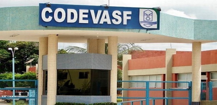 Uma auditoria do TCU (Tribunal de Contas da União) revela indícios da ação de um cartel de empresas de pavimentação em fraudes a licitações da estatal Codevasf que somam mais de R$ 1 bilhão no governo do presidente Jair Bolsonaro (PL), candidato à reeleição.