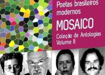 Livro Mosaico Deneval Siqueira