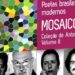 Livro Mosaico Deneval Siqueira