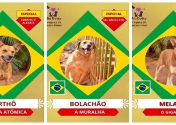 Campanha de adoção de cães que se inspira em álbum da copa