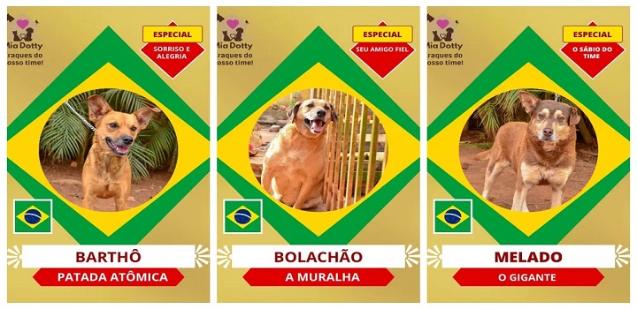 Campanha de adoção de cães que se inspira em álbum da copa