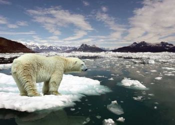 Aquecimento Global: ONU ALERTA PARA CATÁSTROFE