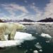 Aquecimento Global: ONU ALERTA PARA CATÁSTROFE