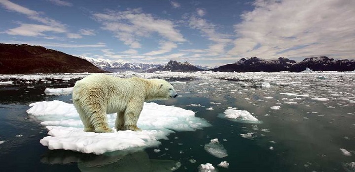 Aquecimento Global: ONU ALERTA PARA CATÁSTROFE