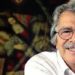 debate sobre darcy ribeiro