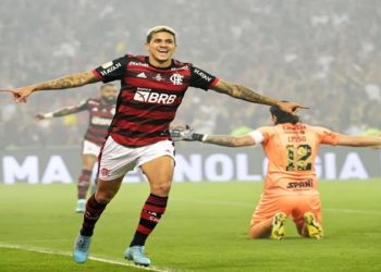 pedro Flamengo