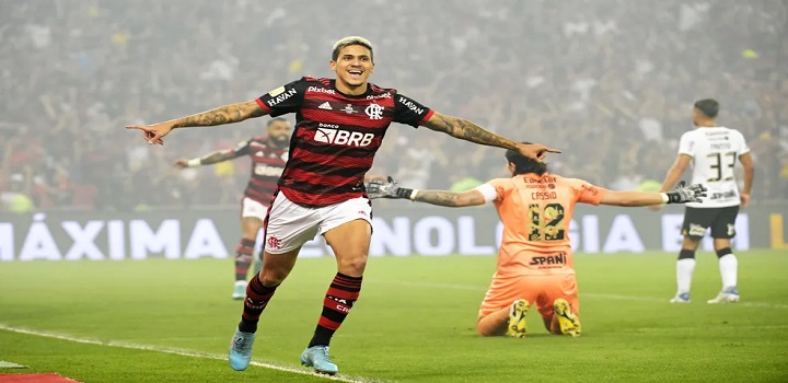 pedro Flamengo