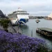 SURTO DE COVID EM CRUZEIRO NA AUSTRALIA