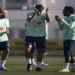 time titular e escalaçao da seleção brasileira na copa