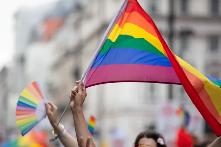 LGBTQIAPN+: Entenda os significados da sigla