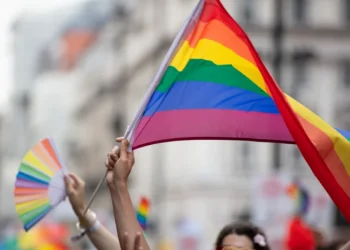 LGBTQIAPN+: Entenda os significados da sigla