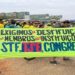 manifestantes pro bolsonaro ato em brasilia