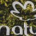 natura registra prejuizo DE R$ 2 BILHÕESde U