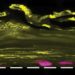 cientista cria vagina em chip